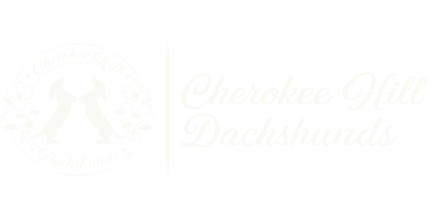 Cherokee Hill Dachshunds